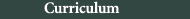 Curriculum